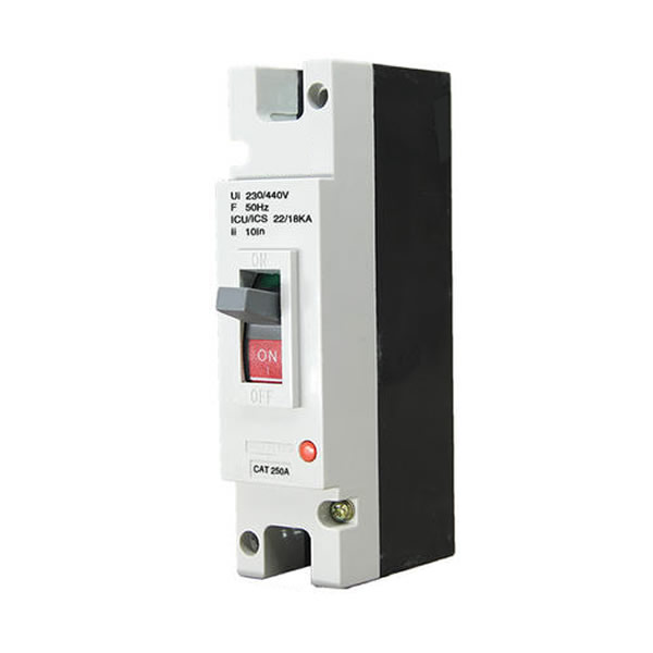Can the thermomagnetic tripper in the moulded case circuit breaker set the current ?