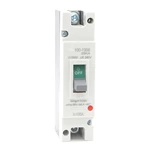 Moulded Case Circuit Breaker, 1p 100 AMP MCCB