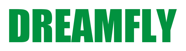 Dreamfly Electrics Co.,Ltd